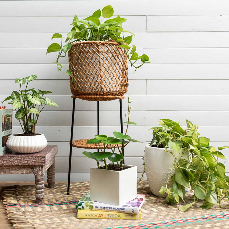 Wicker planter online set